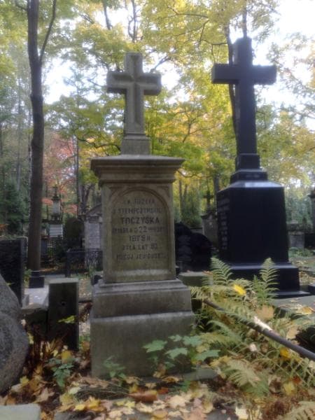 Zdjęcie grobu Józefa Toczyska (1)