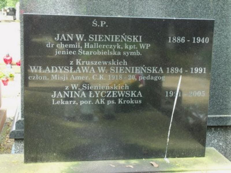 Zdjęcie grobu Władysława W. Sienieńska (2)