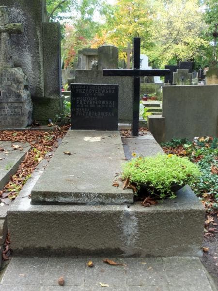 Zdjęcie grobu: Mieczysław Przybyłowski