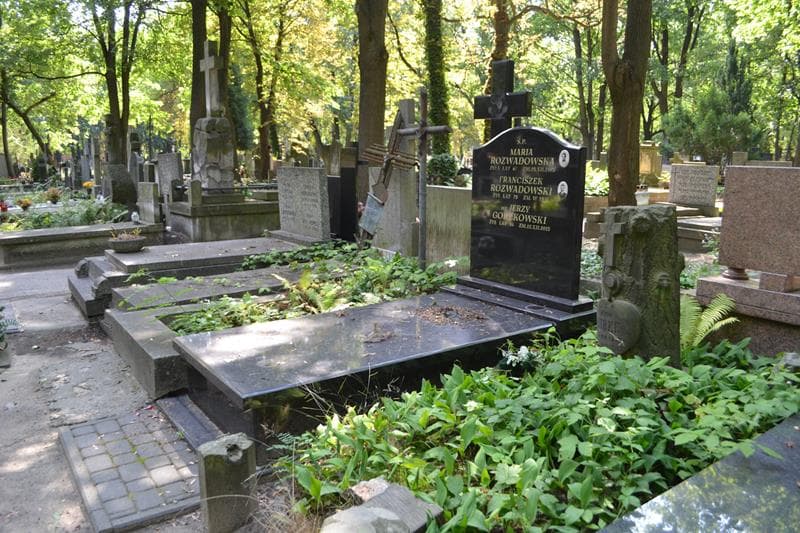 Zdjęcie grobu: Jerzy Gorzkowski