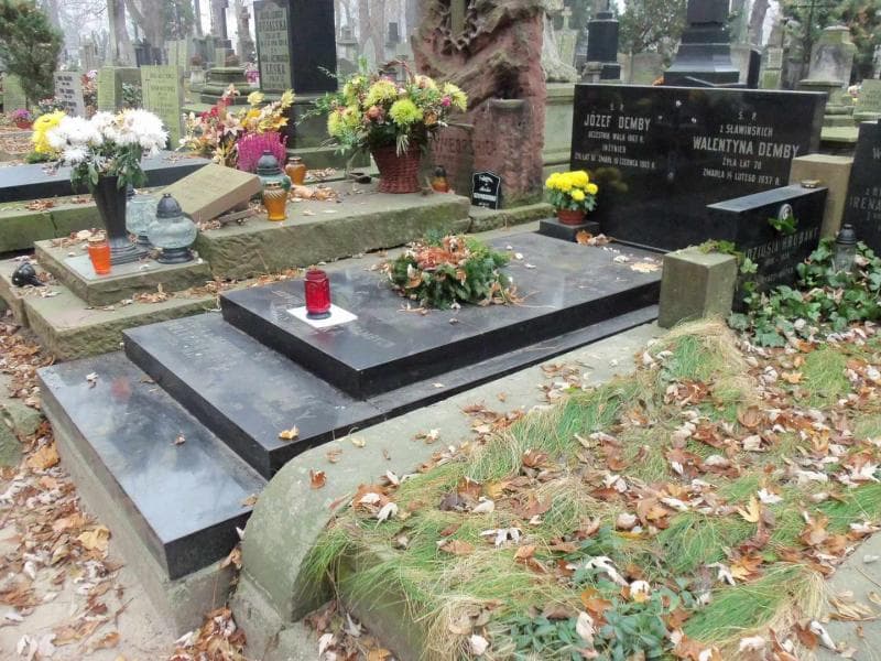 Zdjęcie grobu Józef Demby (1)