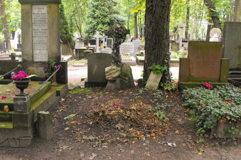 Zdjęcie grobu Rystrzanowscy (1)