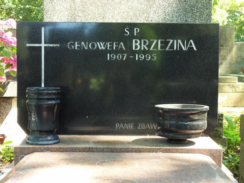 Zdjęcie grobu Genowefa Brzezina (2)