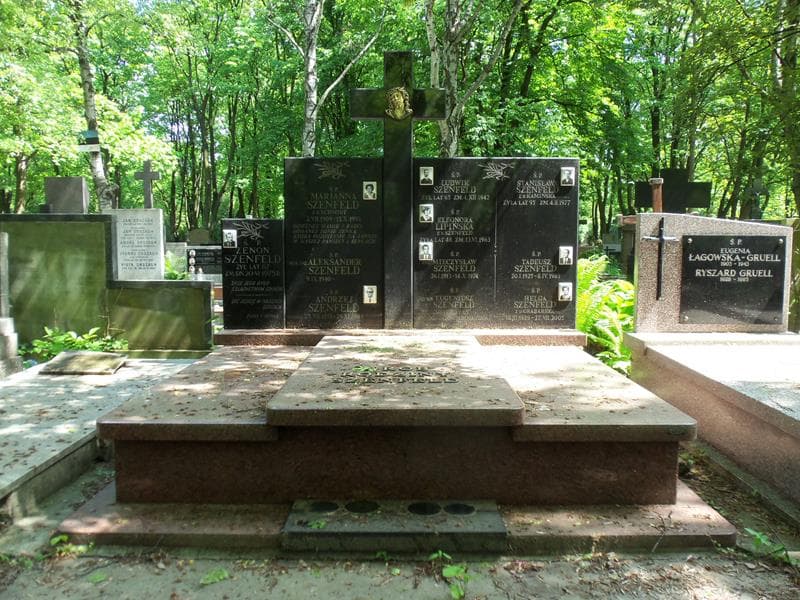 Zdjęcie grobu: Ludwik Szenfeld