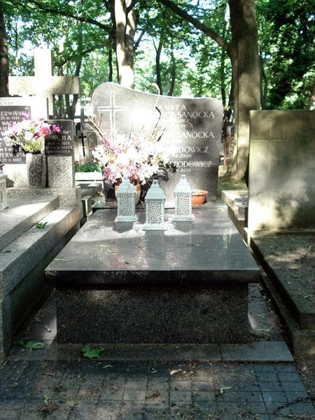 Zdjęcie grobu: Adolf Brodowicz