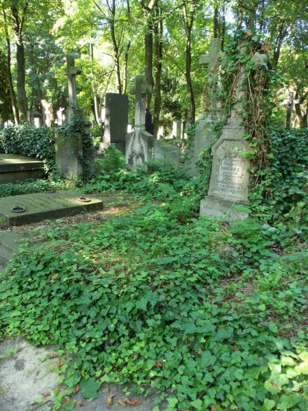 Zdjęcie grobu Stasio Dolow (1)