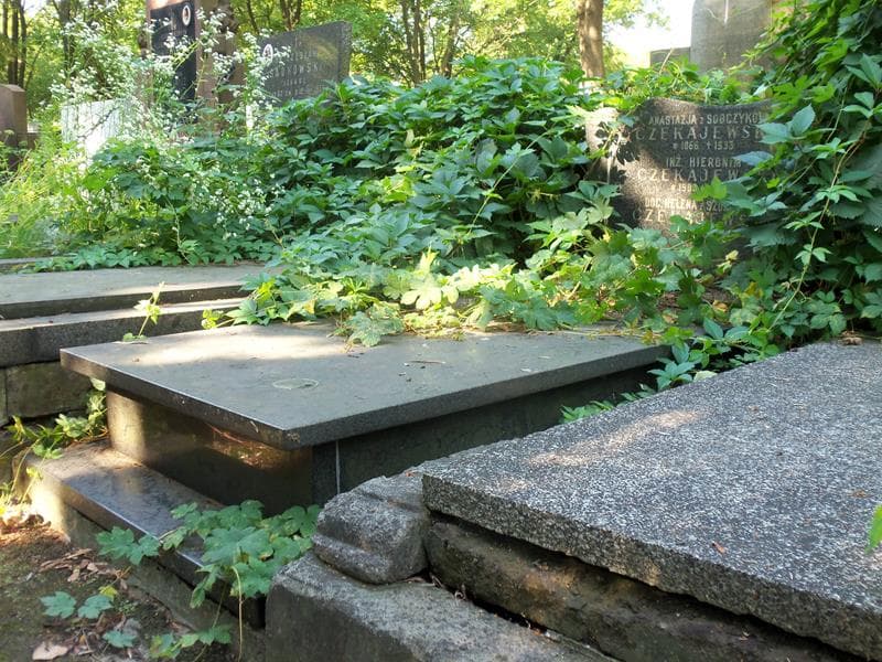 Zdjęcie grobu Anastazja Czekajewska (1)
