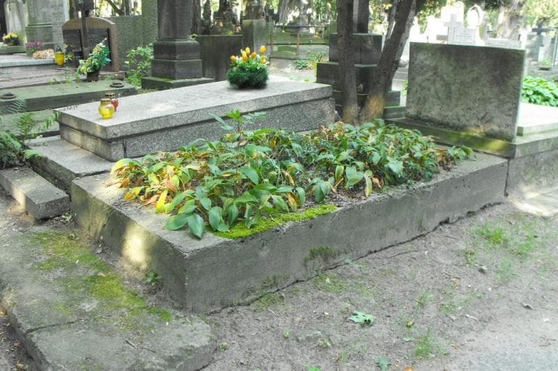 Zdjęcie grobu Anonim (1)