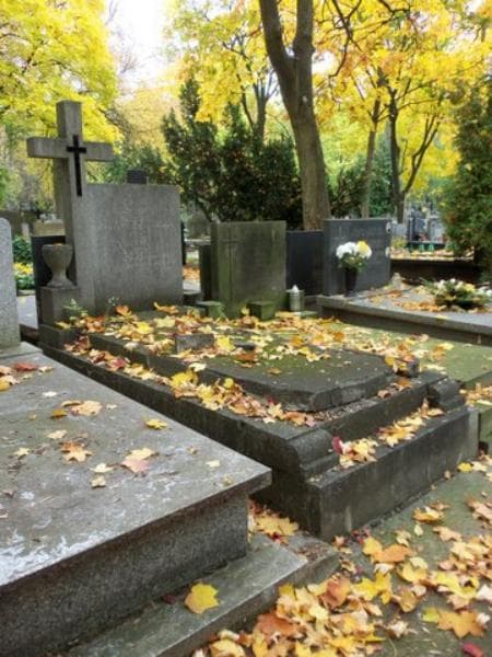 Zdjęcie grobu Józef Sawicki (1)