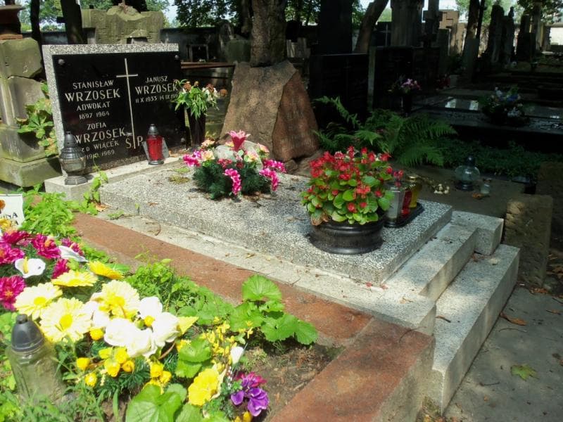 Zdjęcie grobu Stanisław Wrzosek (2)