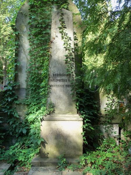Zdjęcie grobu Teodor Gąssowski (2)