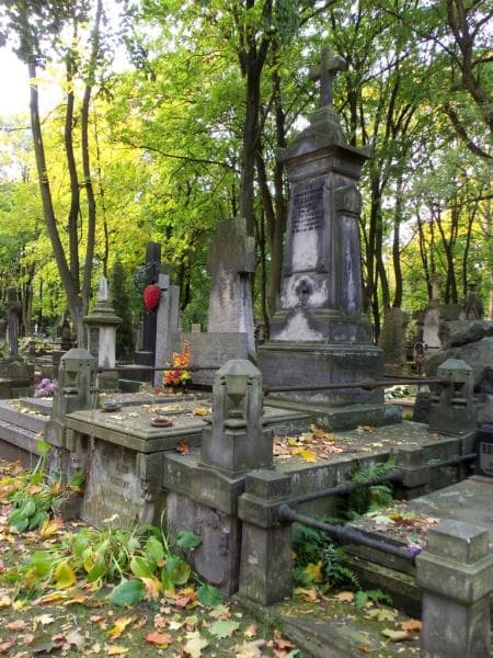 Zdjęcie grobu Bronisław Plebiński (1)