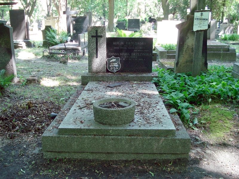 Zdjęcie grobu: Alicja Brzezińska