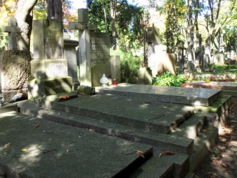 Zdjęcie grobu Stanisław Goźliński (1)