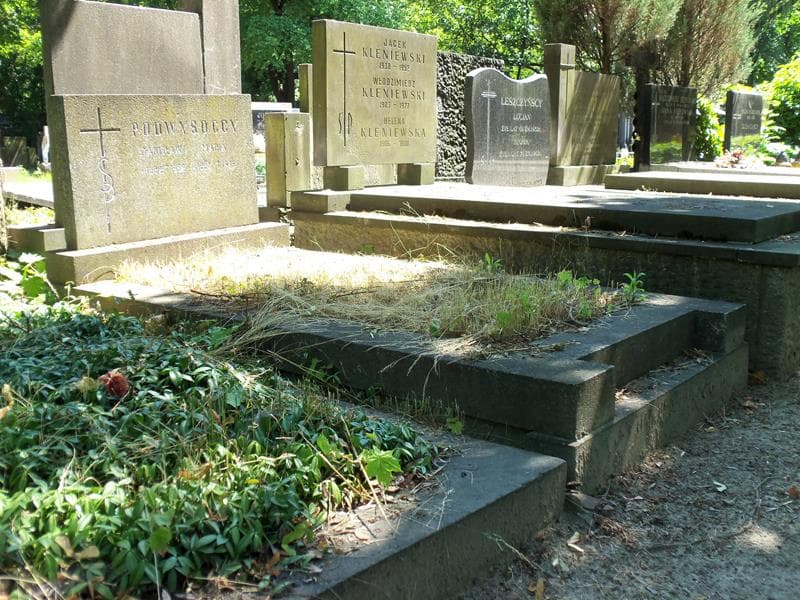 Zdjęcie grobu Maria Podwysocka (1)