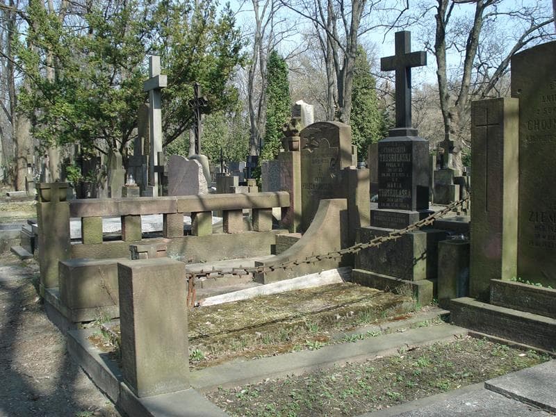Zdjęcie grobu Franciszek Truskolaski (1)