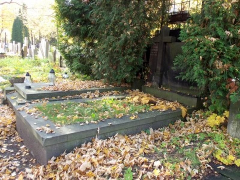 Zdjęcie grobu Witold Maciej Maciejczyk (1)