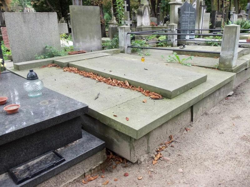 Zdjęcie grobu Władysław Niwiński (1)