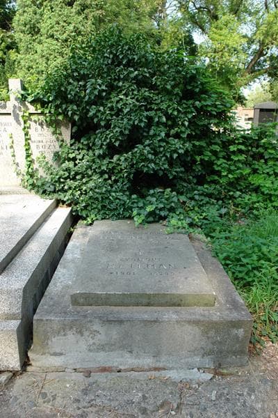 Zdjęcie grobu Maria Heilmanowa (1)