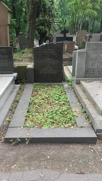 Zdjęcie grobu Irena Woźniakowska (1)