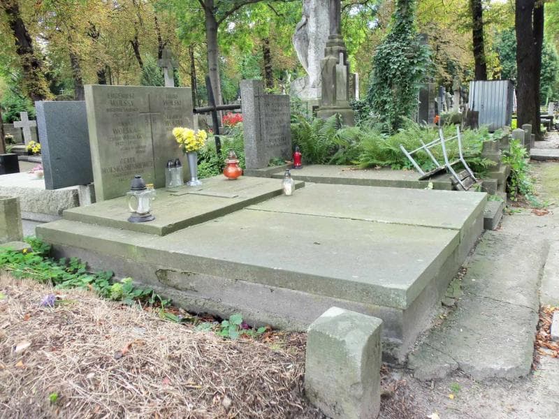 Zdjęcie grobu Wacław Gątkowski (1)