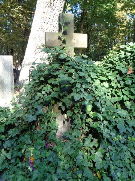 Zdjęcie grobu Jakób Goździk (1)