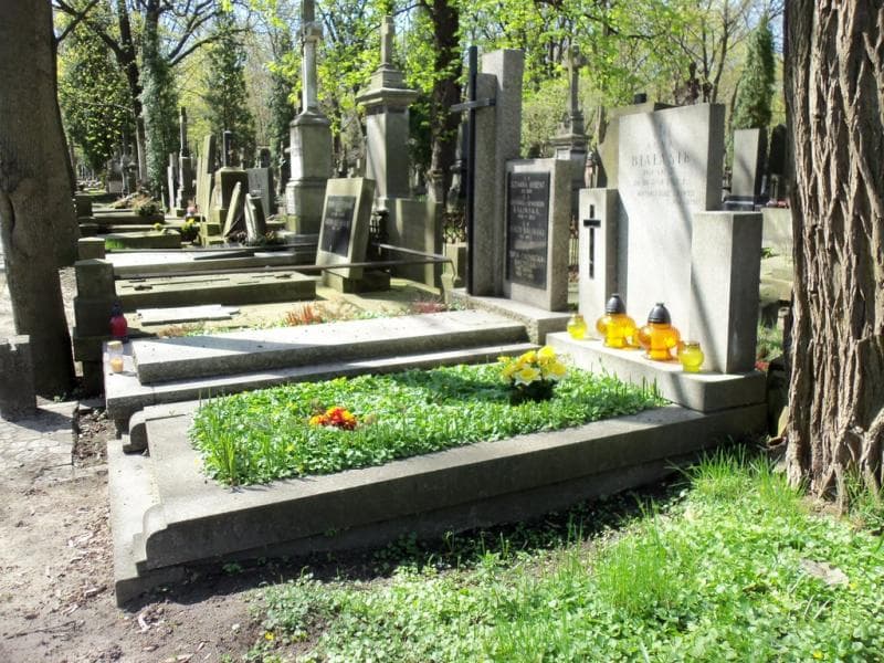 Zdjęcie grobu Anna Białasik (1)