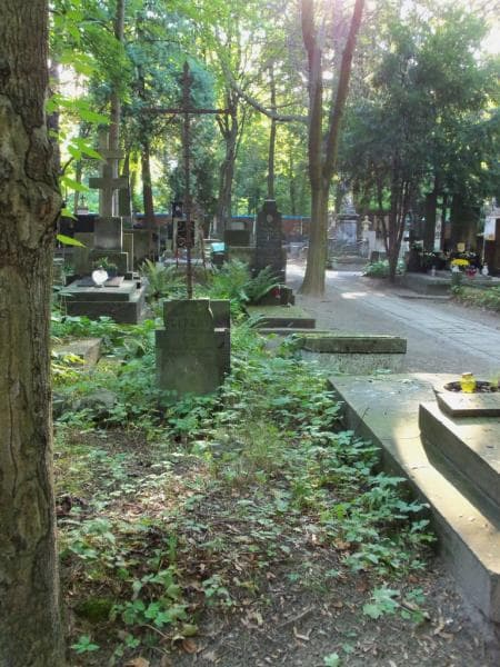 Zdjęcie grobu: Aleksander Lipski
