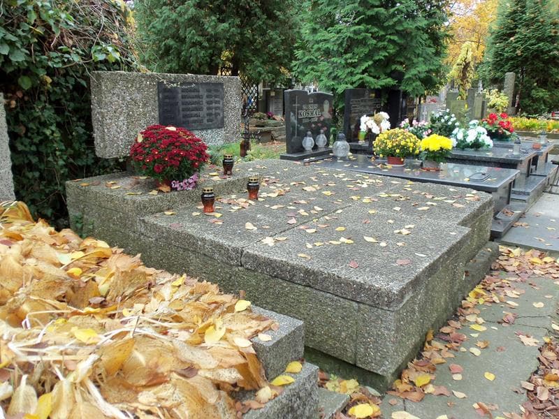 Zdjęcie grobu Roman Niewiarowicz (1)
