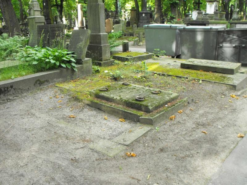 Zdjęcie grobu Bartoszewscy (1)