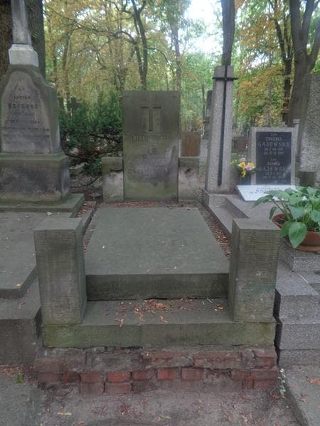 Zdjęcie grobu Teodor Baliński (1)