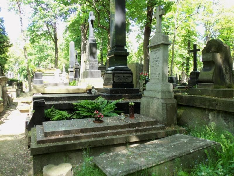 Zdjęcie grobu Zygmunt Cytowski (1)