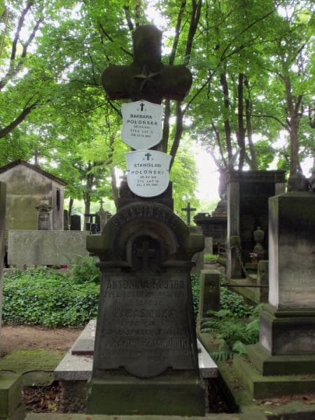 Zdjęcie grobu Feliks Jaworski (2)
