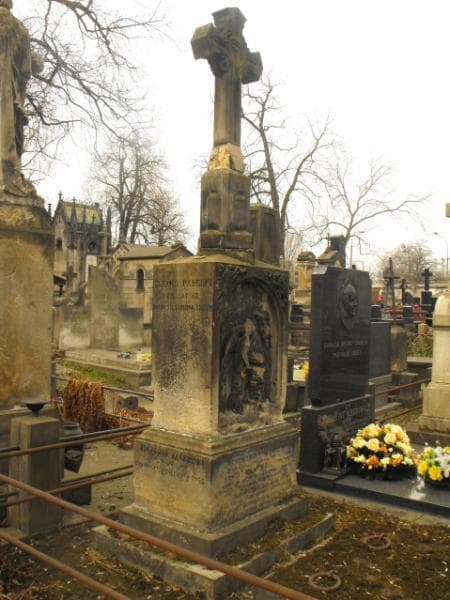 Zdjęcie grobu Feliks Pałuski (1)