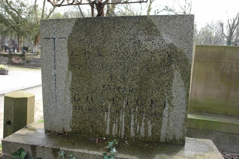 Zdjęcie grobu Stefan Gościcki (1)