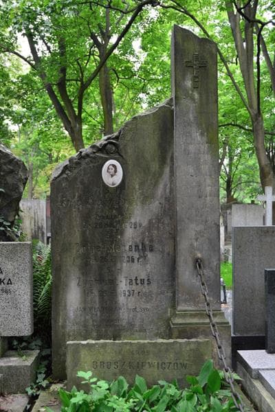 Zdjęcie grobu Zygmunt Broszkiewicz (2)