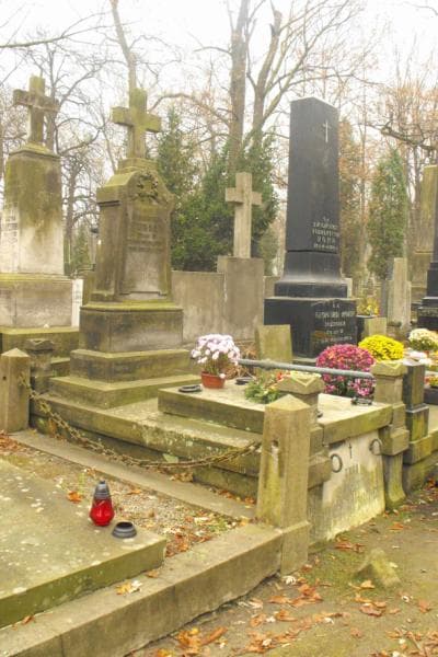 Zdjęcie grobu Henryk Turski (1)