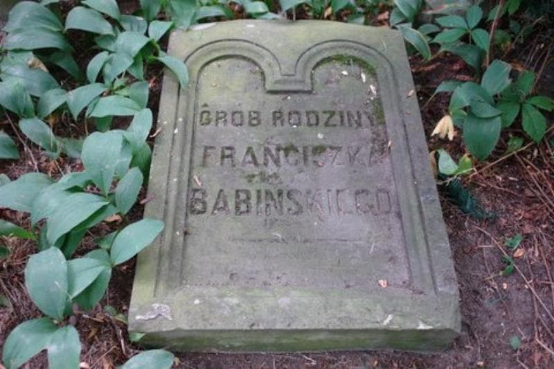 Zdjęcie grobu Józefa Tarczyńska (2)