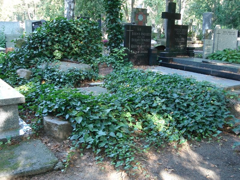 Zdjęcie grobu Jerzy Kulczycki (1)