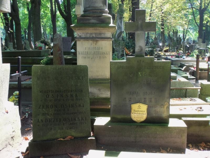 Zdjęcie grobu Apolonja Osińska (2)