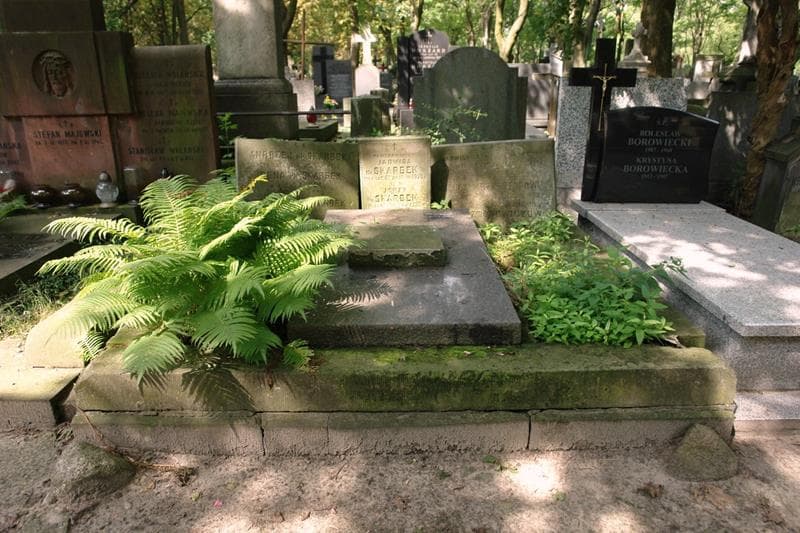Zdjęcie grobu Jadwiga Krzysztofowiczowa (1)