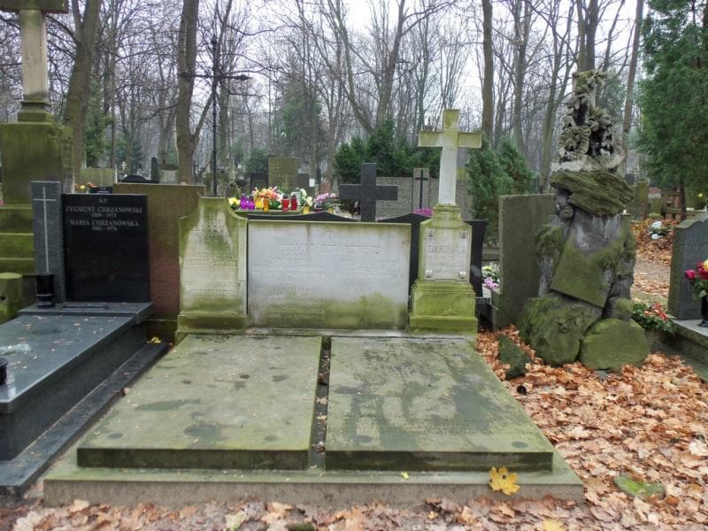 Zdjęcie grobu: Konstanty Okulicz-Kozaryn