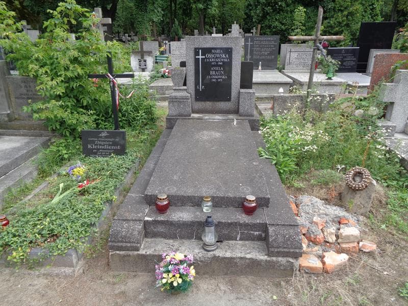 Zdjęcie grobu Aniela Braun (1)