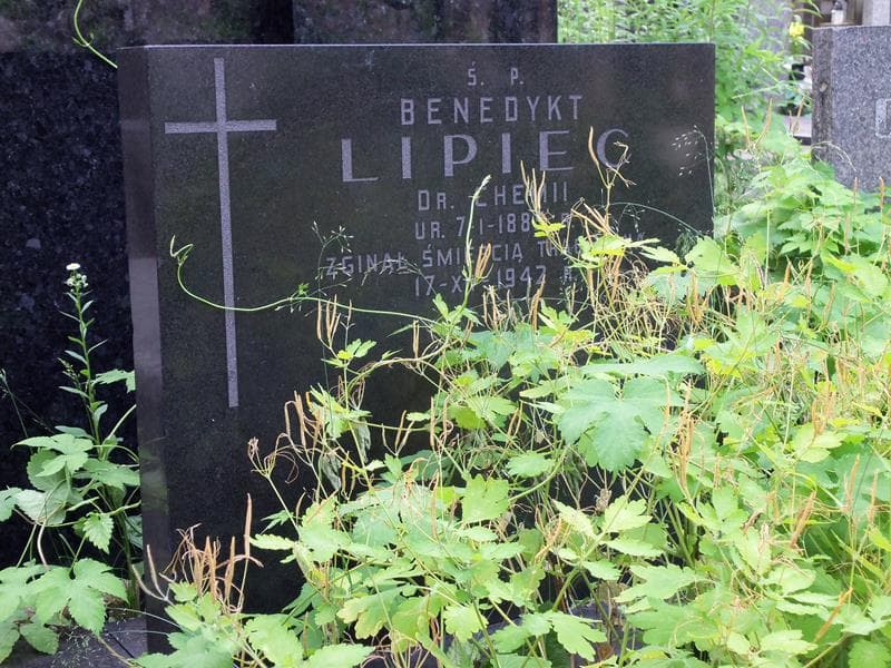 Zdjęcie grobu Benedykt Lipiec (2)