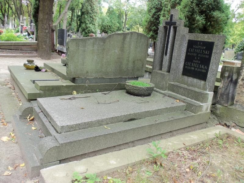 Zdjęcie grobu Władysław Ciesielski (1)