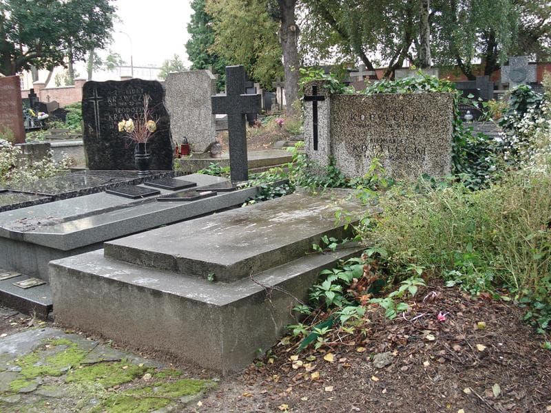 Zdjęcie grobu Aleksander Kobyłecki (1)