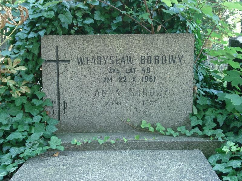 Zdjęcie grobu Anna Borowy (1)