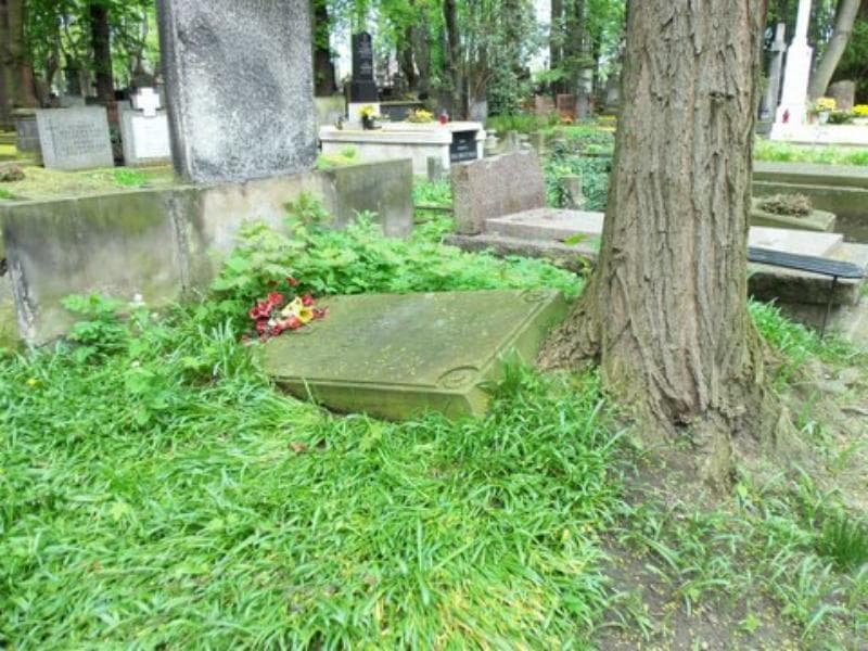 Zdjęcie grobu Józefa Miecznikowska (1)