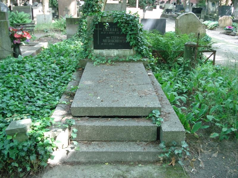 Zdjęcie grobu: Juliusz Zacharewicz