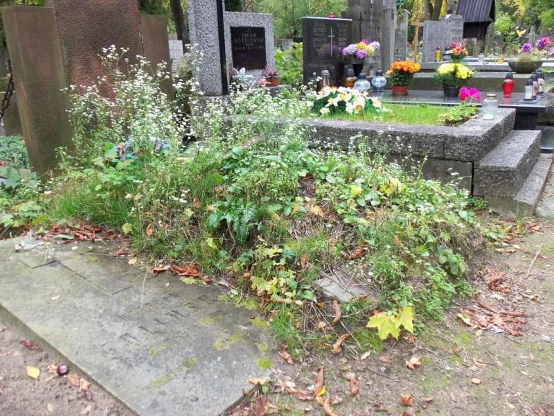 Zdjęcie grobu Pole Grobowe (1)